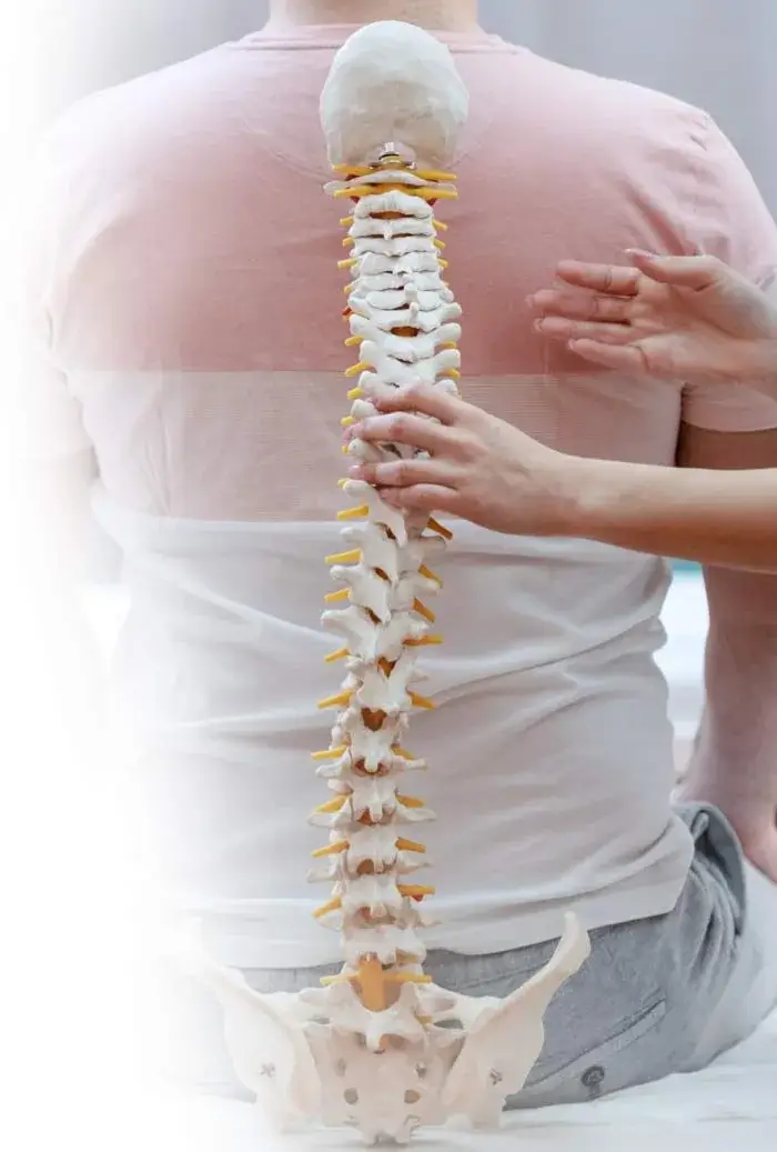 PMC Fysiotherapie | Preventieve rugscholing en training